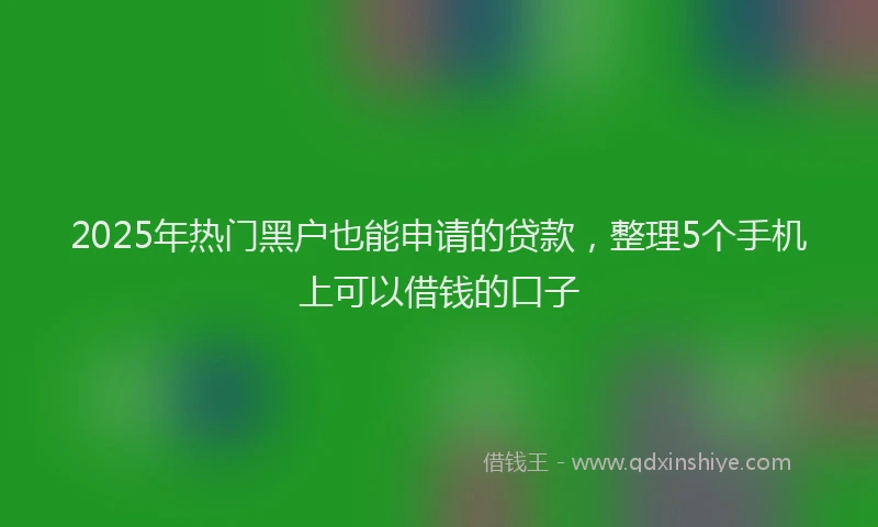 2025年热门黑户也能申请的贷款，整理5个手机上可以借钱的口子