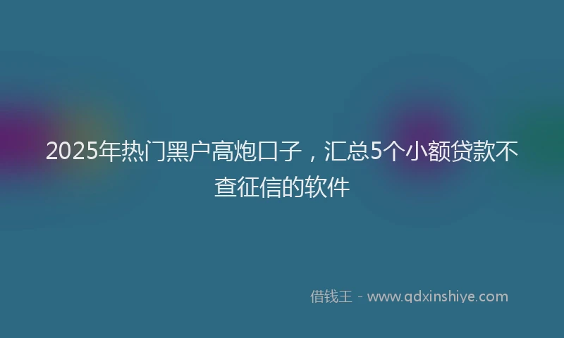 2025年热门黑户高炮口子，汇总5个小额贷款不查征信的软件