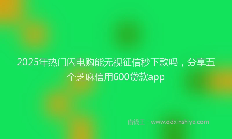 2025年热门闪电购能无视征信秒下款吗，分享五个芝麻信用600贷款app