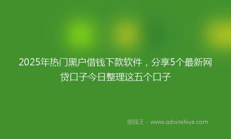 2025年热门黑户借钱下款软件，分享5个最新网贷口子今日整理这五个口子