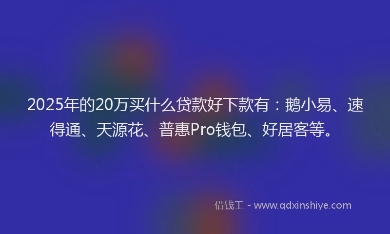 2025年的20万买什么贷款好下款有：鹅小易、速得通、天源花、普惠Pro钱包、好居客等。