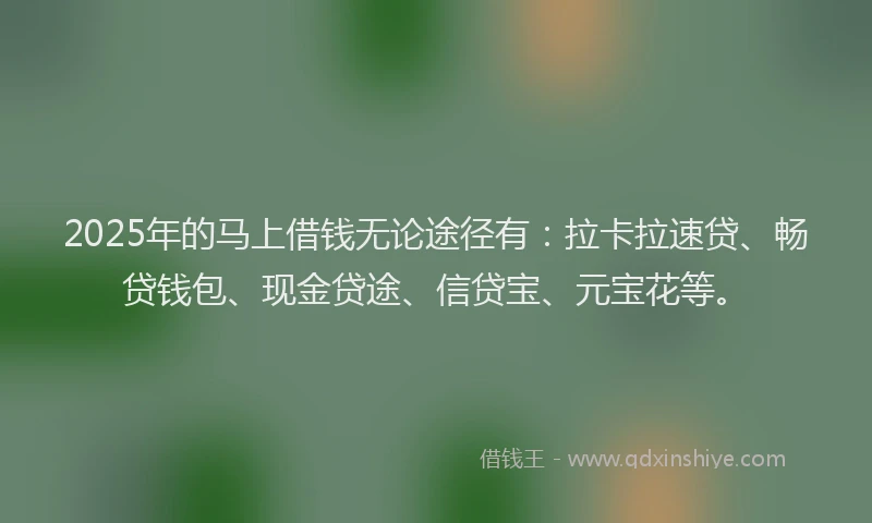 2025年的马上借钱无论途径有:拉卡拉速贷、畅贷钱包、现金贷途、信贷宝、元宝花等。