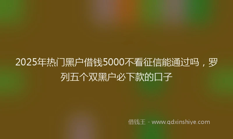 2025年热门黑户借钱5000不看征信能通过吗，罗列五个双黑户必下款的口子