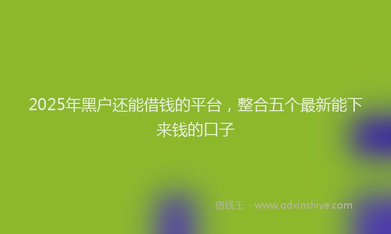 2025年黑户还能借钱的平台，整合五个最新能下来钱的口子
