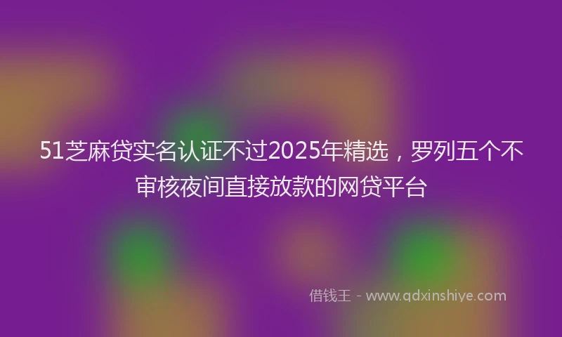 51芝麻贷实名认证不过2025年精选，罗列五个不审核夜间直接放款的网贷平台