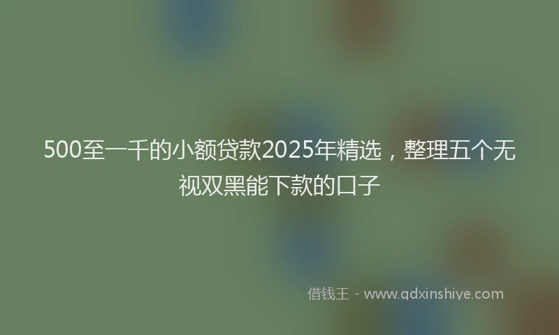 500至一千的小额贷款2025年精选，整理五个无视双黑能下款的口子