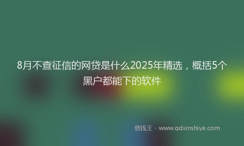 8月不查征信的网贷是什么2025年精选，概括5个黑户都能下的软件