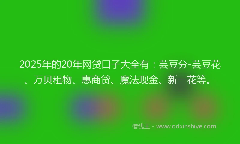 2025年的20年网贷口子大全有：芸豆分-芸豆花、万贝租物、惠商贷、魔法现金、新一花等。