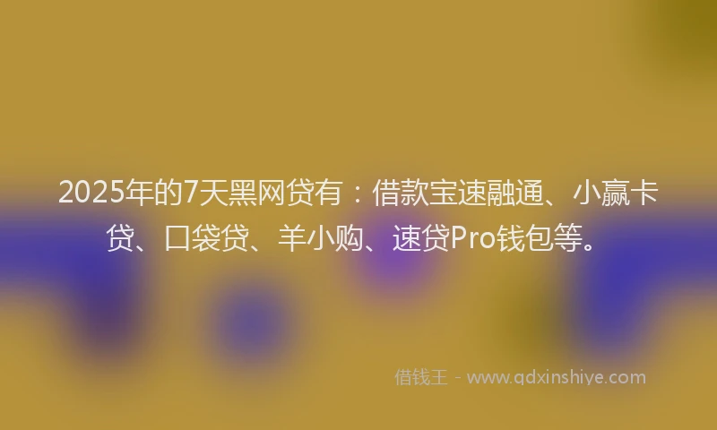 2025年的7天黑网贷有：借款宝速融通、小赢卡贷、口袋贷、羊小购、速贷Pro钱包等。