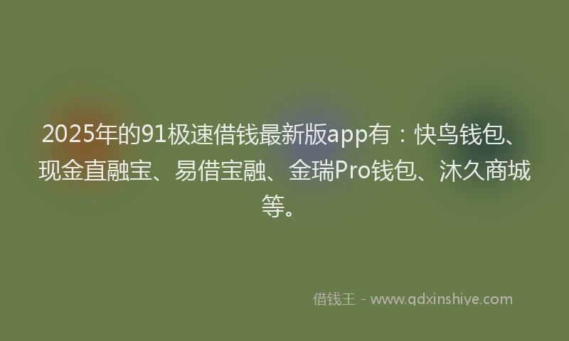 2025年的91极速借钱最新版app有：快鸟钱包、现金直融宝、易借宝融、金瑞Pro钱包、沐久商城等。