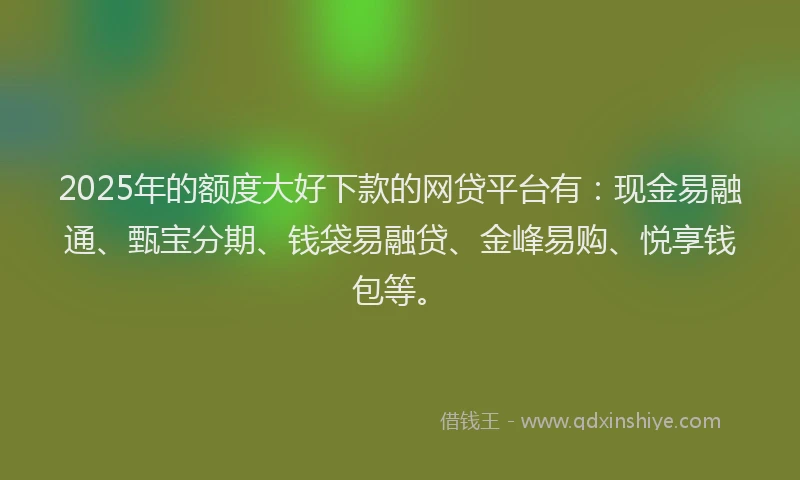 2025年的额度大好下款的网贷平台有:现金易融通、甄宝分期、钱袋易融贷、金峰易购、悦享钱包等。