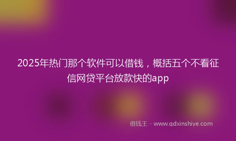 2025年热门那个软件可以借钱，概括五个不看征信网贷平台放款快的app