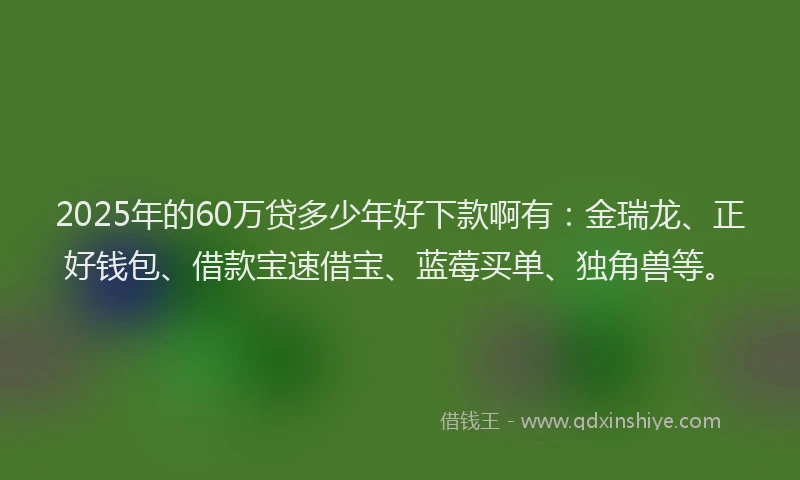 2025年的60万贷多少年好下款啊有：金瑞龙、正好钱包、借款宝速借宝、蓝莓买单、独角兽等。
