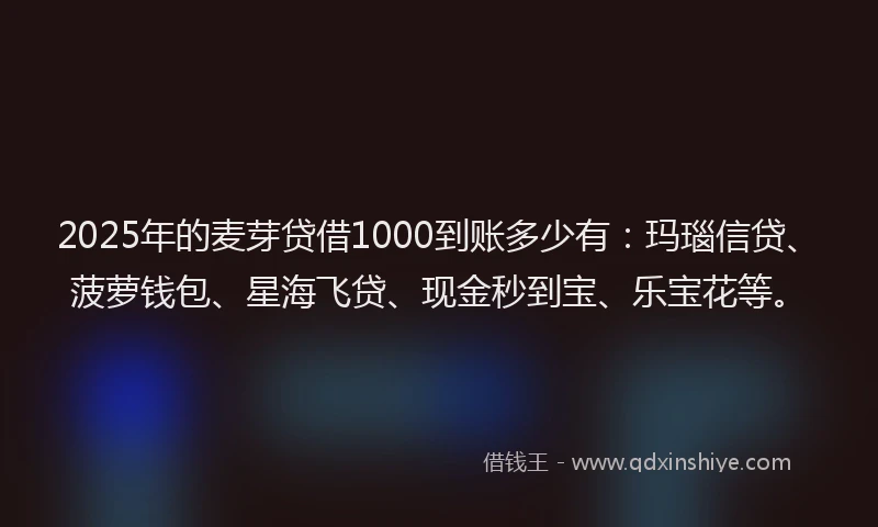 2025年的麦芽贷借1000到账多少有：玛瑙信贷、菠萝钱包、星海飞贷、现金秒到宝、乐宝花等。