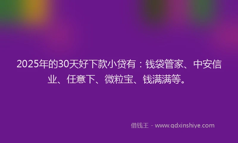 2025年的30天好下款小贷有：钱袋管家、中安信业、任意下、微粒宝、钱满满等。