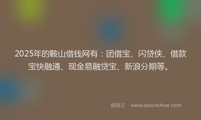 2025年的鞍山借钱网有：团借宝、闪贷侠、借款宝快融通、现金易融贷宝、新浪分期等。