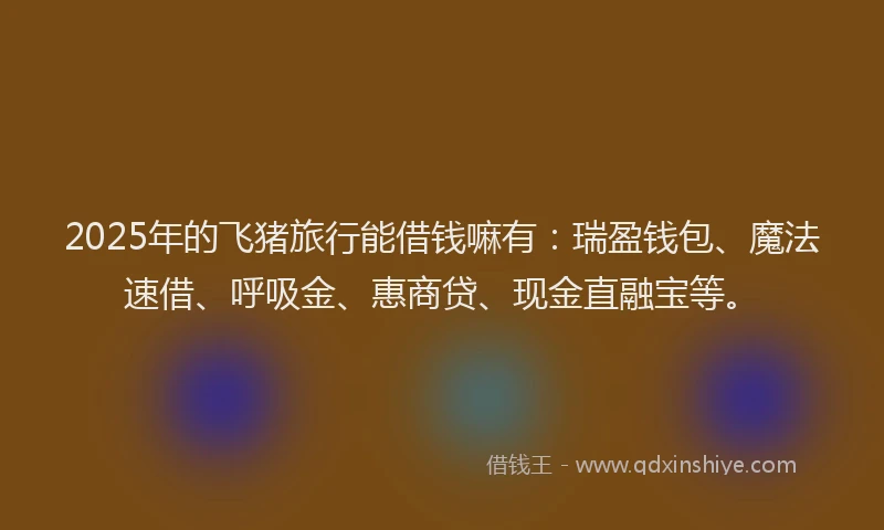 2025年的飞猪旅行能借钱嘛有：瑞盈钱包、魔法速借、呼吸金、惠商贷、现金直融宝等。