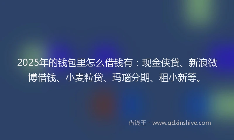 2025年的钱包里怎么借钱有：现金侠贷、新浪微博借钱、小麦粒贷、玛瑙分期、租小新等。