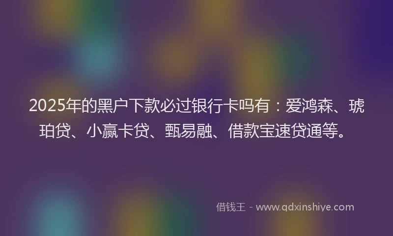 2025年的黑户下款必过银行卡吗有:爱鸿森、琥珀贷、小赢卡贷、甄易融、借款宝速贷通等。