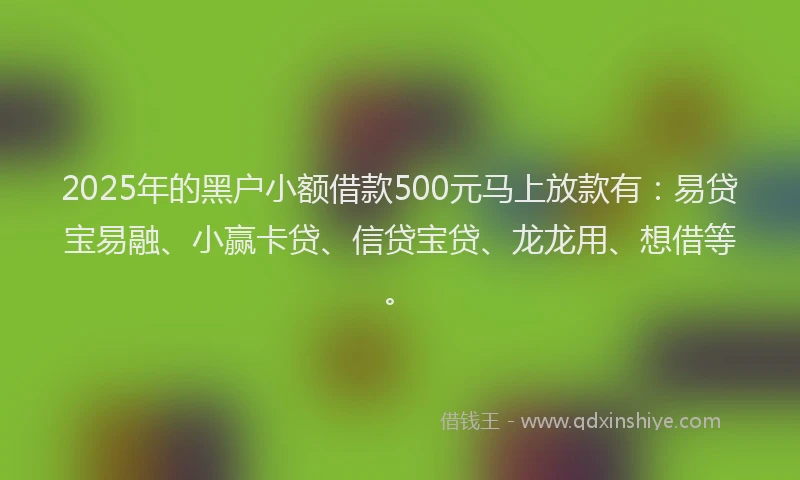 2025年的黑户小额借款500元马上放款有：易贷宝易融、小赢卡贷、信贷宝贷、龙龙用、想借等。