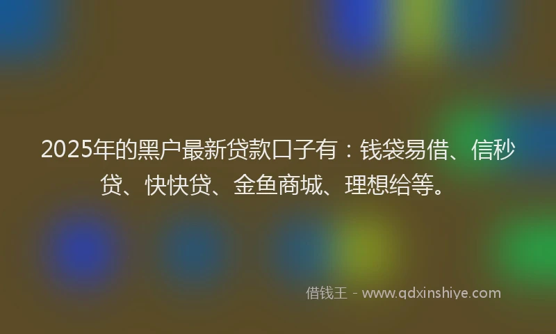 2025年的黑户最新贷款口子有：钱袋易借、信秒贷、快快贷、金鱼商城、理想给等。