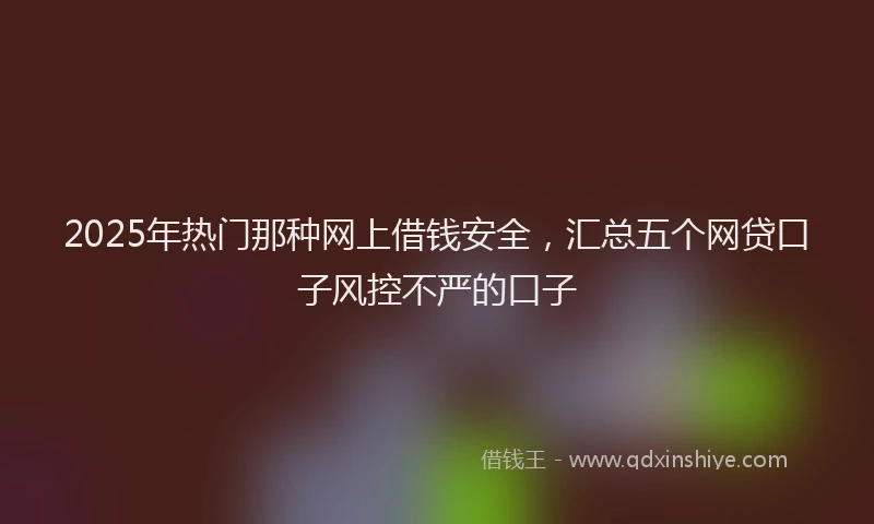 2025年热门那种网上借钱安全，汇总五个网贷口子风控不严的口子