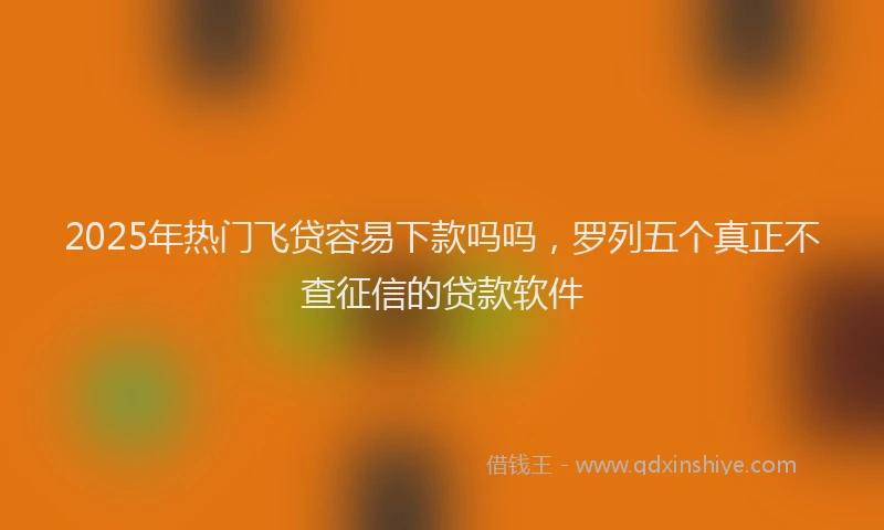 2025年热门飞贷容易下款吗吗，罗列五个真正不查征信的贷款软件