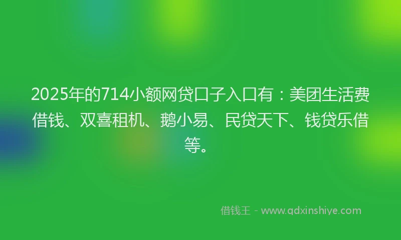 2025年的714小额网贷口子入口有：美团生活费借钱、双喜租机、鹅小易、民贷天下、钱贷乐借等。
