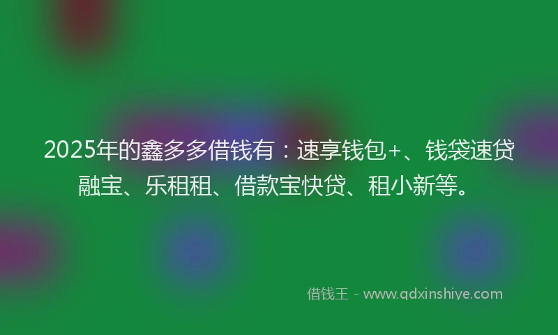 2025年的鑫多多借钱有：速享钱包+、钱袋速贷融宝、乐租租、借款宝快贷、租小新等。