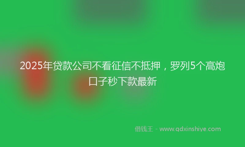 2025年贷款公司不看征信不抵押，罗列5个高炮口子秒下款最新