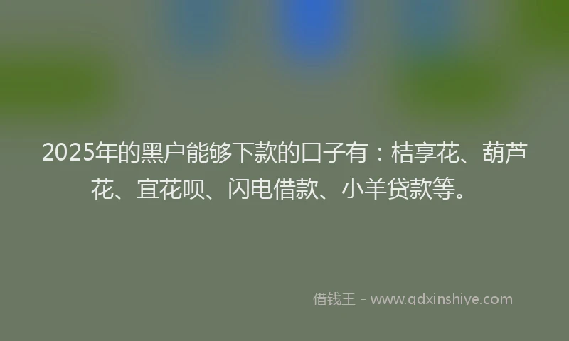 2025年的黑户能够下款的口子有：桔享花、葫芦花、宜花呗、闪电借款、小羊贷款等。