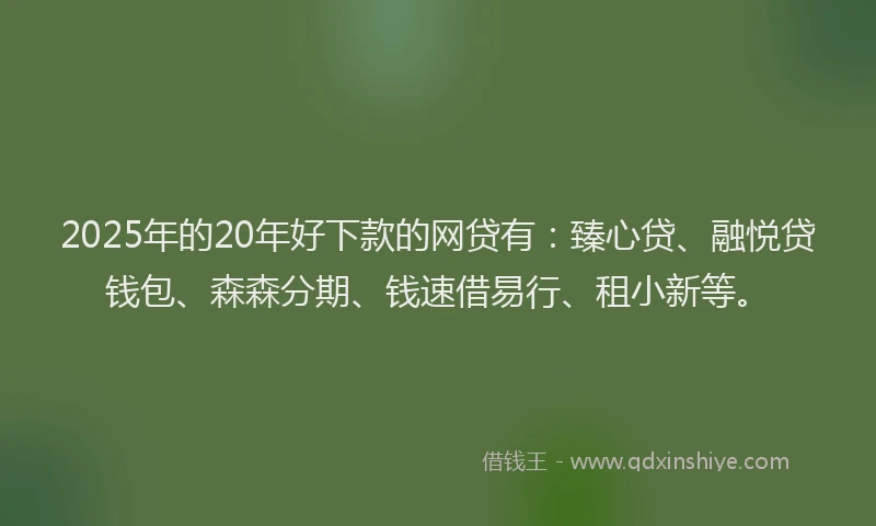 2025年的20年好下款的网贷有：臻心贷、融悦贷钱包、森森分期、钱速借易行、租小新等。