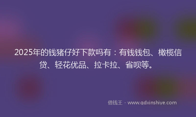 2025年的钱猪仔好下款吗有：有钱钱包、橄榄信贷、轻花优品、拉卡拉、省呗等。
