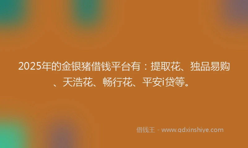 2025年的金银猪借钱平台有：提取花、独品易购、天浩花、畅行花、平安i贷等。