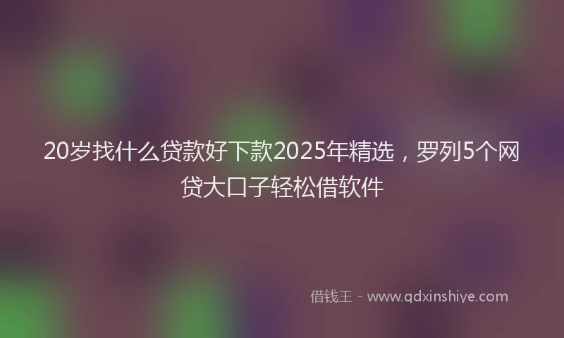 20岁找什么贷款好下款2025年精选，罗列5个网贷大口子轻松借软件