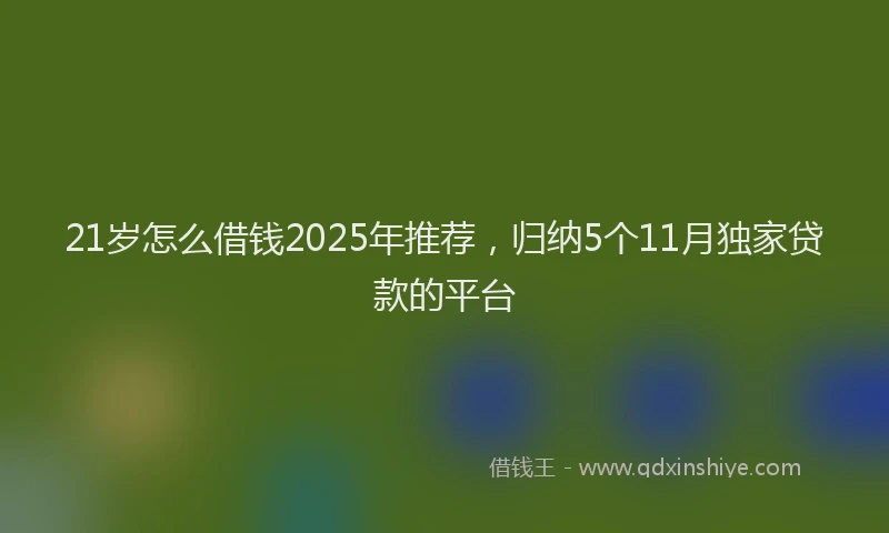 21岁怎么借钱2025年推荐,归纳5个11月独家贷款的平台