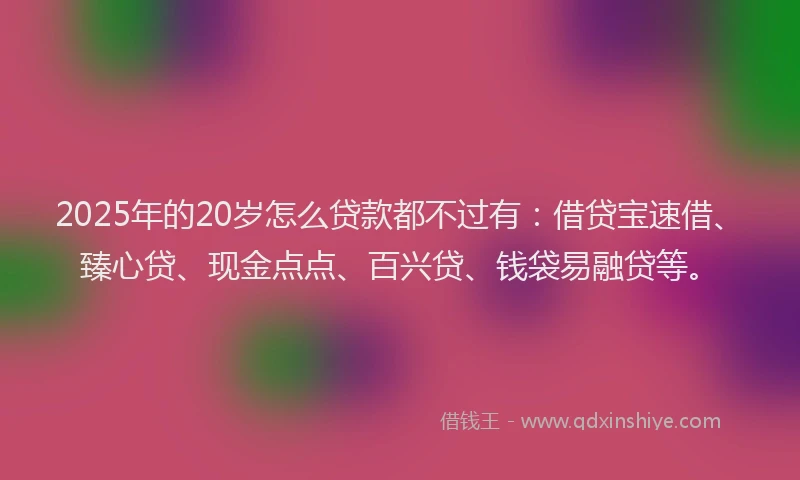 2025年的20岁怎么贷款都不过有：借贷宝速借、臻心贷、现金点点、百兴贷、钱袋易融贷等。
