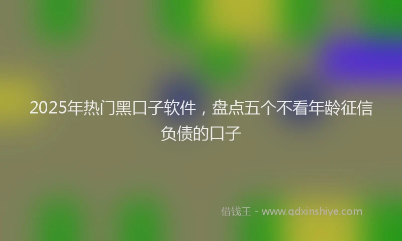 2025年热门黑口子软件，盘点五个不看年龄征信负债的口子