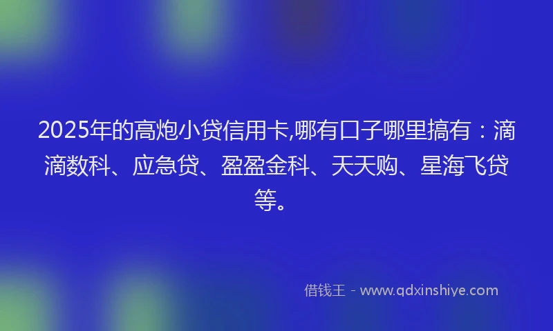 2025年的高炮小贷信用卡,哪有口子哪里搞有：滴滴数科、应急贷、盈盈金科、天天购、星海飞贷等。
