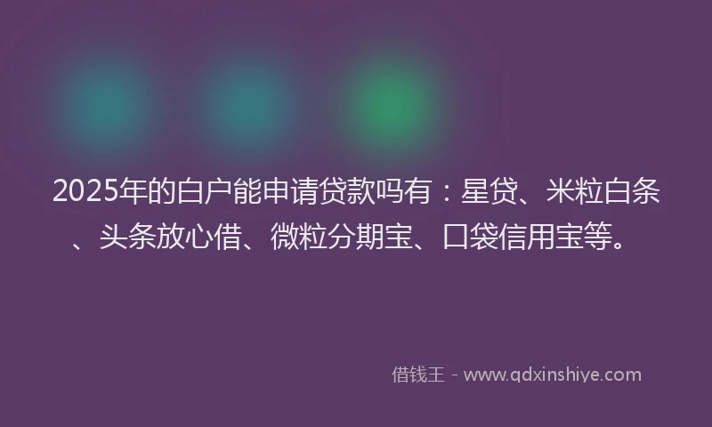 2025年的白户能申请贷款吗有：星贷、米粒白条、头条放心借、微粒分期宝、口袋信用宝等。