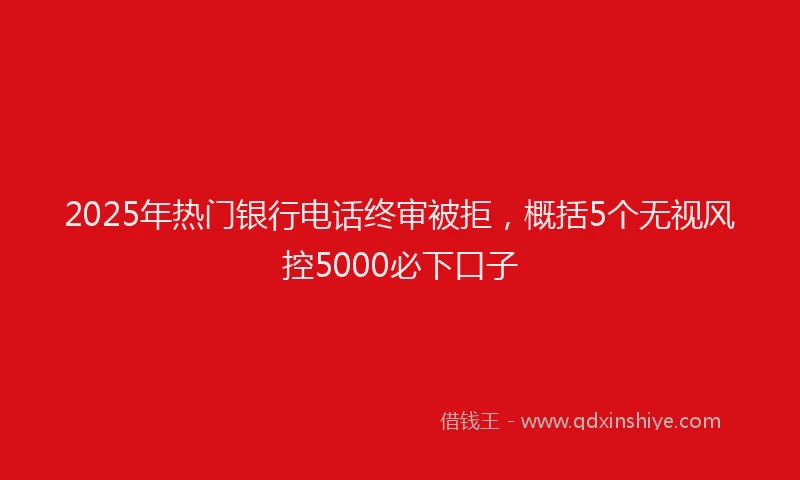 2025年热门银行电话终审被拒，概括5个无视风控5000必下口子