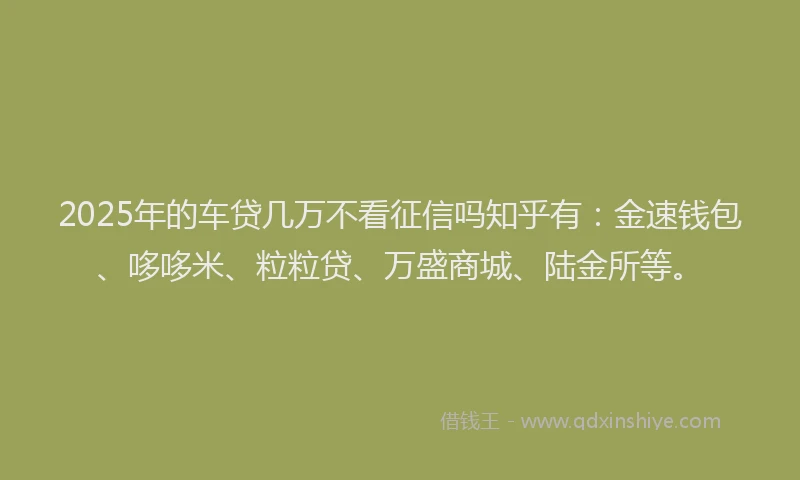 2025年的车贷几万不看征信吗知乎有：金速钱包、哆哆米、粒粒贷、万盛商城、陆金所等。