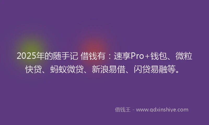 2025年的随手记 借钱有：速享Pro+钱包、微粒快贷、蚂蚁微贷、新浪易借、闪贷易融等。