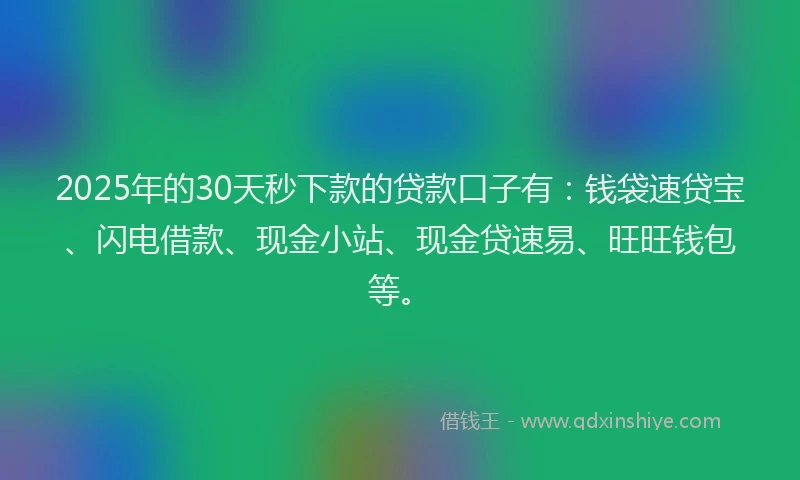 2025年的30天秒下款的贷款口子有：钱袋速贷宝、闪电借款、现金小站、现金贷速易、旺旺钱包等。
