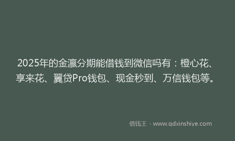 2025年的金瀛分期能借钱到微信吗有：橙心花、享来花、翼贷Pro钱包、现金秒到、万信钱包等。