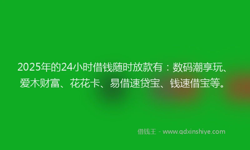 2025年的24小时借钱随时放款有：数码潮享玩、爱木财富、花花卡、易借速贷宝、钱速借宝等。