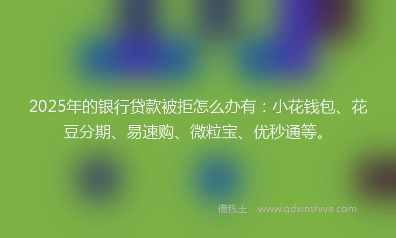 2025年的银行贷款被拒怎么办有：小花钱包、花豆分期、易速购、微粒宝、优秒通等。