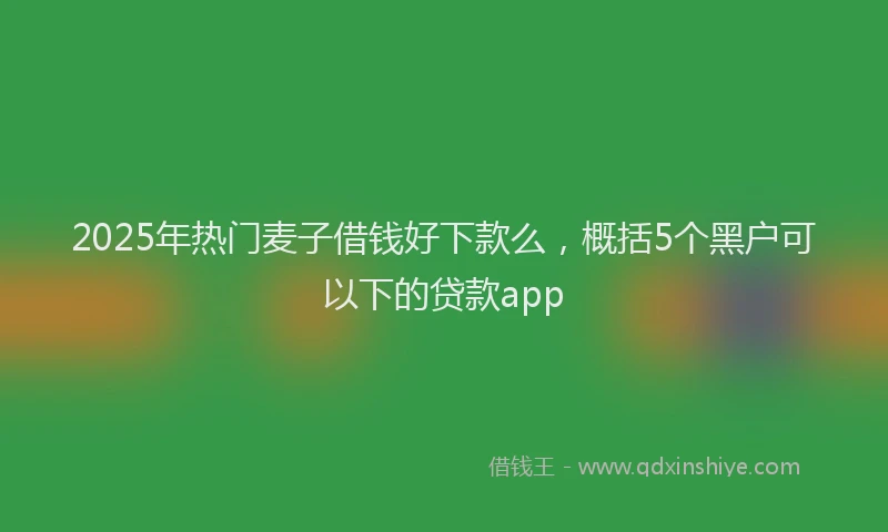 2025年热门麦子借钱好下款么，概括5个黑户可以下的贷款app