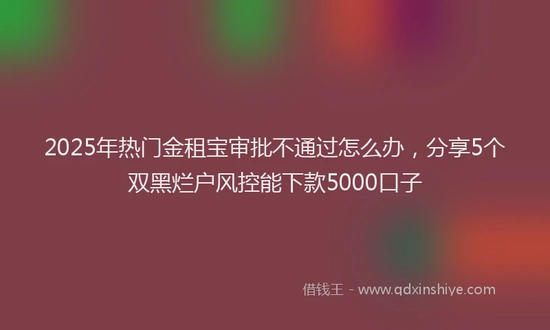 2025年热门金租宝审批不通过怎么办,分享5个双黑烂户风控能下款5000口子