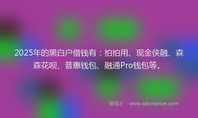 2025年的黑白户借钱有：拍拍用、现金侠融、森森花呗、普惠钱包、融通Pro钱包等。